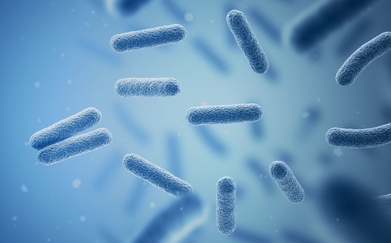 As A Fully Integrated Contract Manufacturing Organization (CMO), We Specialize In Microbial-Based Biopharmaceuticals. In 2024, We Opened Our Cutting-Edge Manufacturing Plant At The Hyangnam Campus In South Korea, Offering End-To-End CMO Services Under ONE ROOF. Our State-Of-The-Art Facility Is Designed To Meet The Evolving Needs Of Our Clients From Pilot Scale Clinical Production To Commercial Scale Manufacturing While Maintaining Full Compliance With Global CGMP Standards.