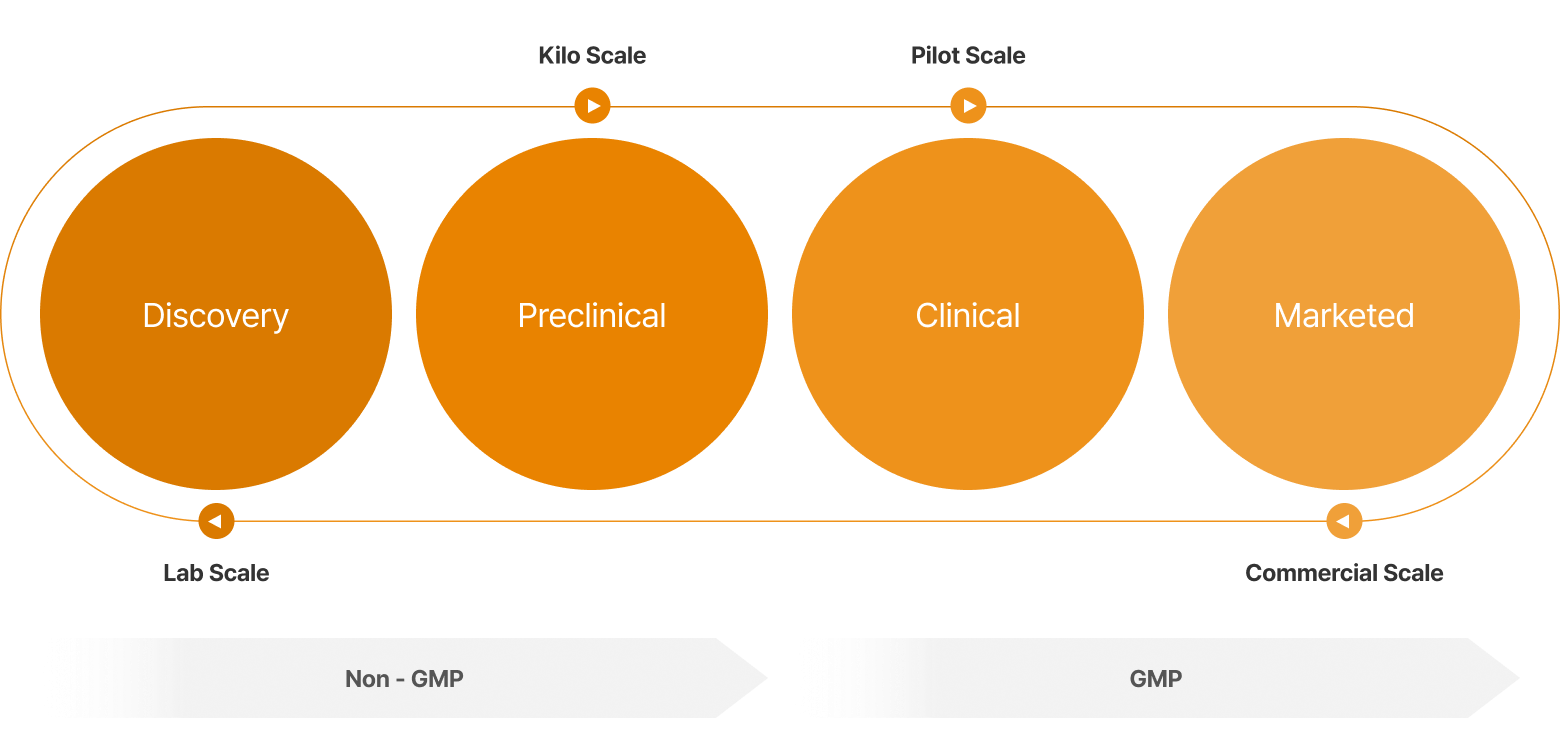 Fully Integrated APIs <br class='mo'/>CDMO & CMO Service <br class='mo'/>(Lab - pilot - commercial)