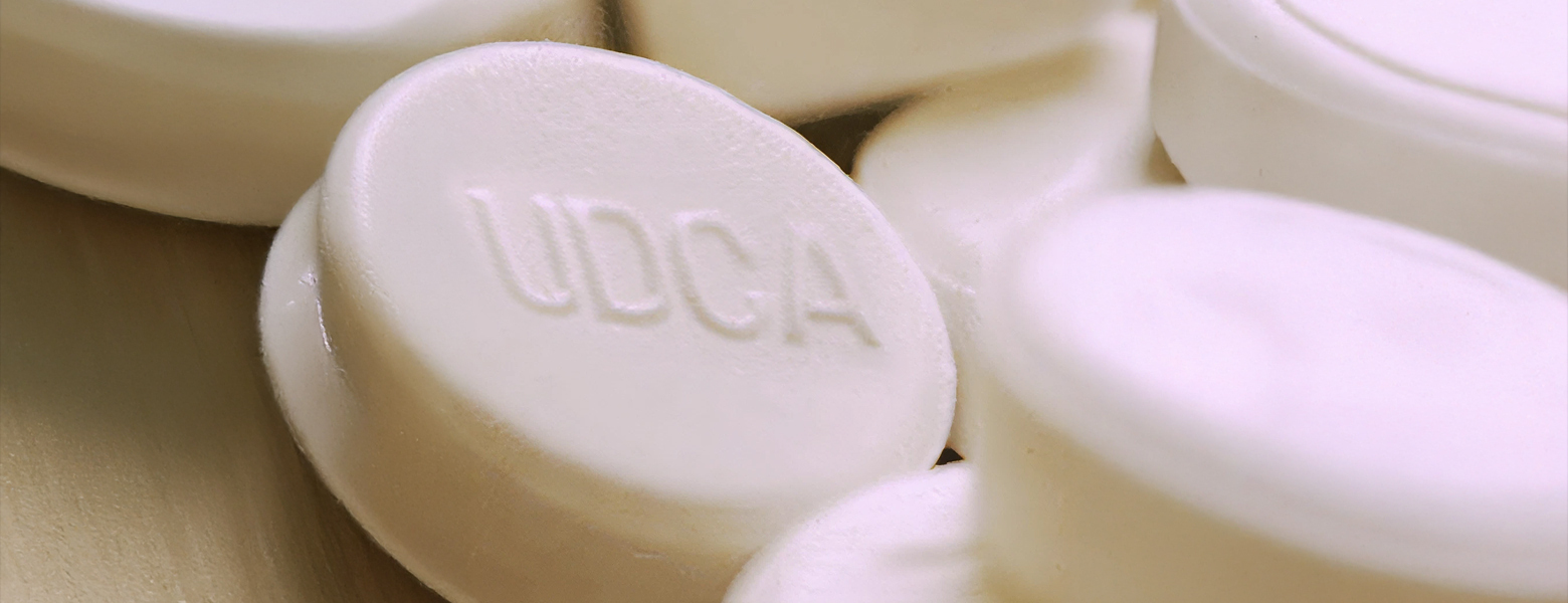 UDCA